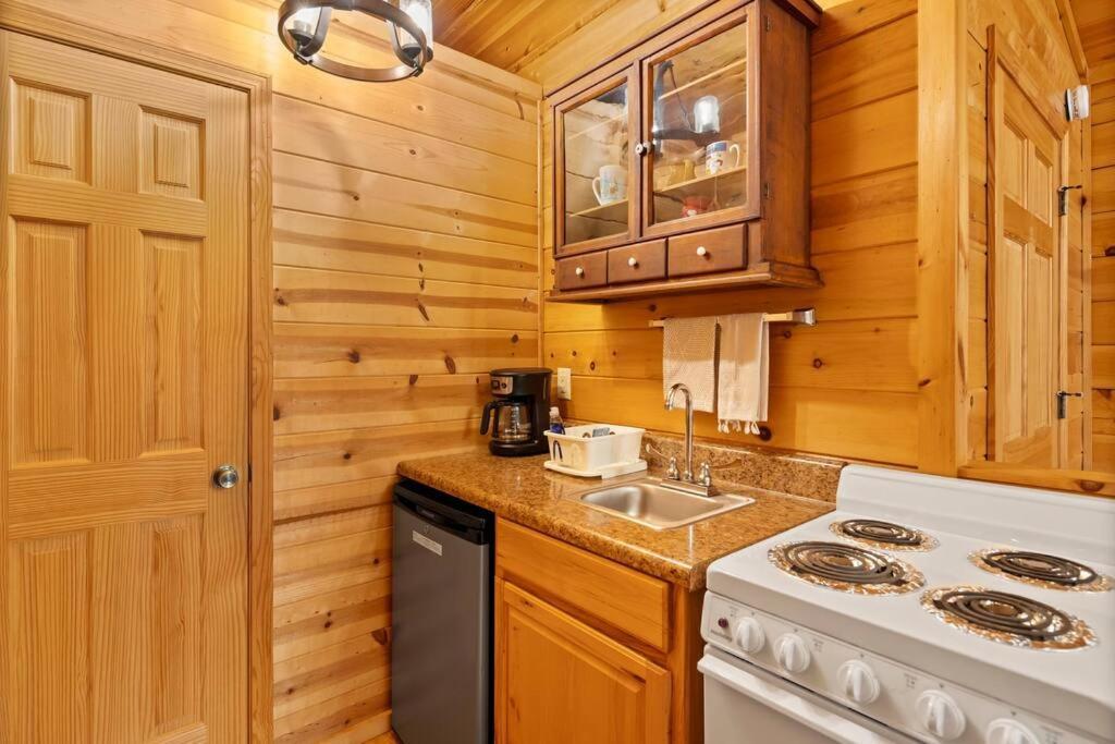 Dream Weaver Cabin Villa Candler Buitenkant foto